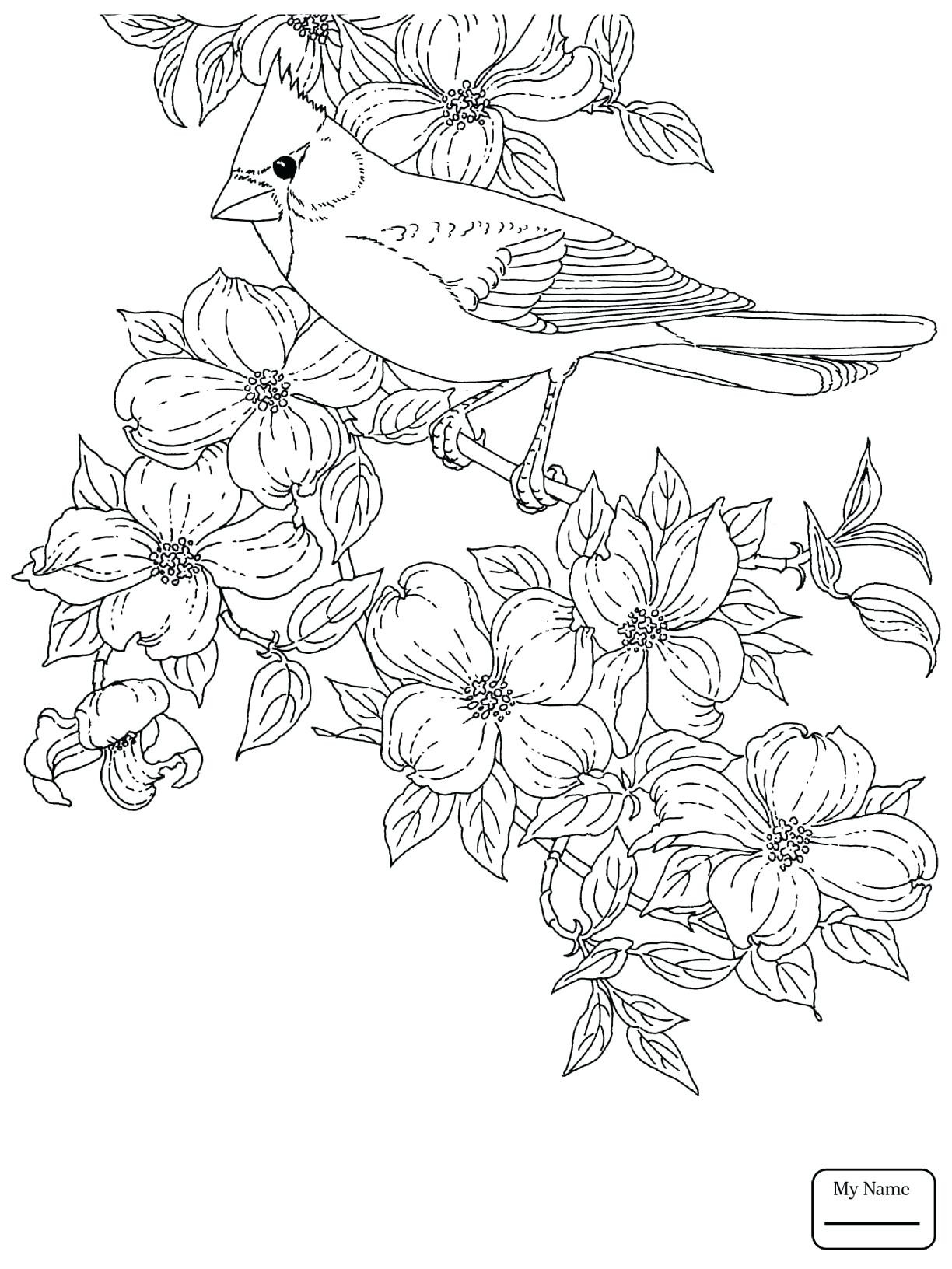 1224x1632 Emerging Baltimore Orioles Baseball Coloring Pages Fiscalreform