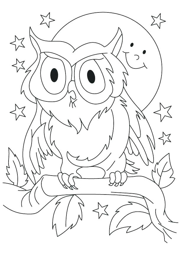 613x860 Orioles Coloring Pages Favorite Birds Stained Glass Baltimore