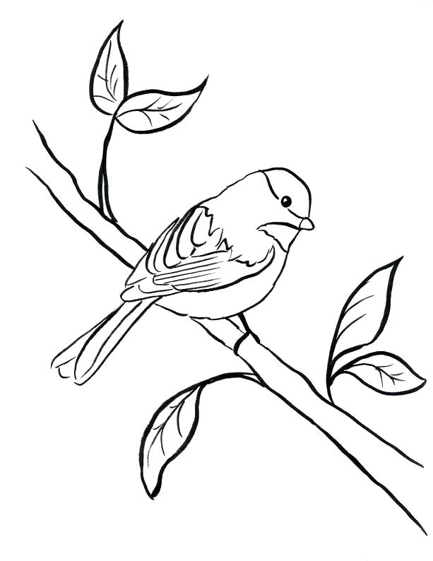613x794 Baltimore Orioles Coloring Pages Oriole Coloring Page Purple Kitty