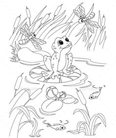 236x280 Ornate Box Turtle Coloring Page Free Printable Coloring Pages