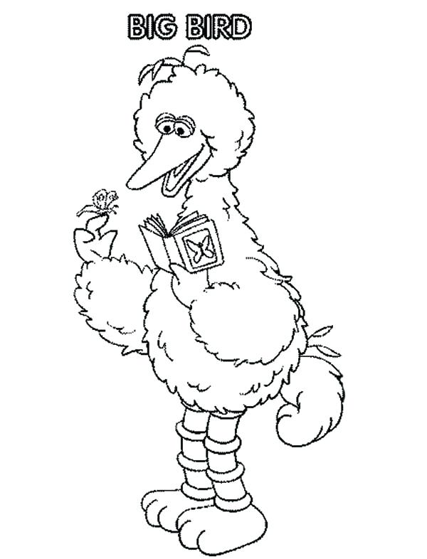 600x786 Oscar Grouch Coloring Pages To Print Marvelous Oscar