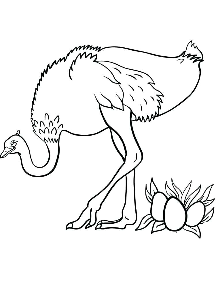 750x1000 Ostrich Coloring Page Smiling Ostrich Coloring Page Ostrich