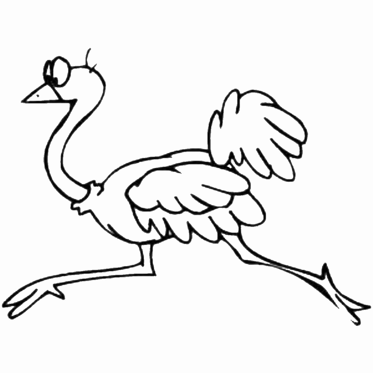 1200x1200 Ostrich Coloring Pages