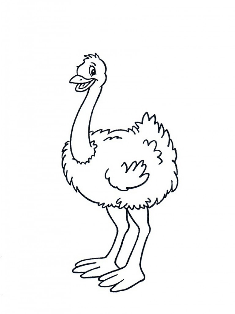 768x1024 Unique Ostrich Page To Color Gallery Printable Coloring Sheet