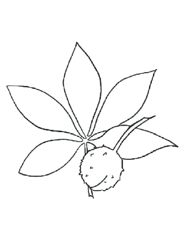 600x778 Osu Coloring Pages State Coloring Pages Brilliant Great Football