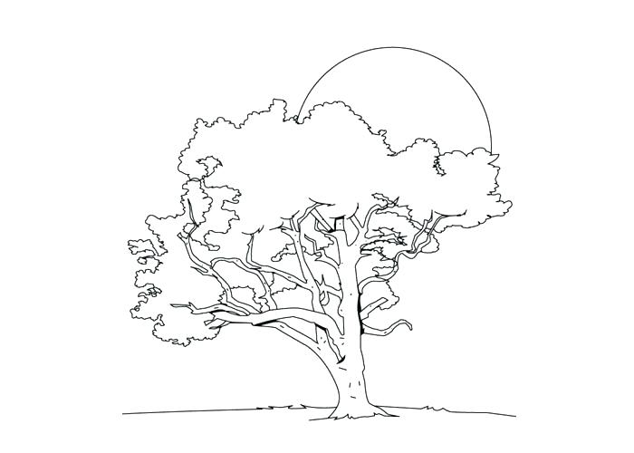 700x500 Coloring Pages Ohio State Professional