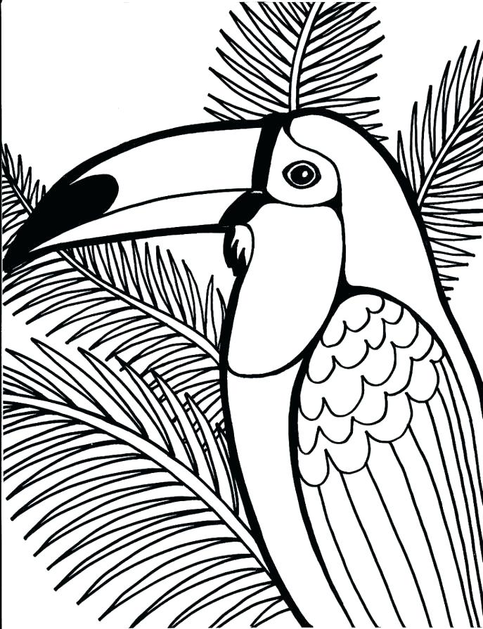 687x895 Oklahoma State Cowboys Coloring Pages