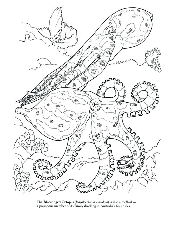 600x781 Oswald Coloring Pages Coloring Pages Find This Pin And More On