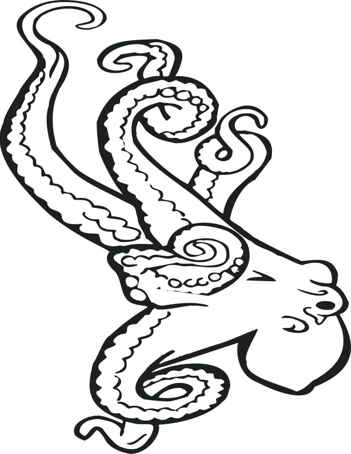 720x932 Oswald Coloring Pages Whale Coloring Pages Octopus Me Oswald