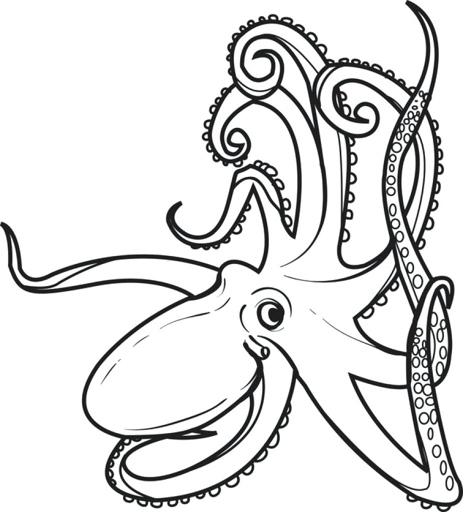 925x1024 New Octopus Page To Color Gallery Printable Coloring Sheet