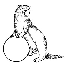 230x230 10 Best Otter Coloring Pages For Toddlers