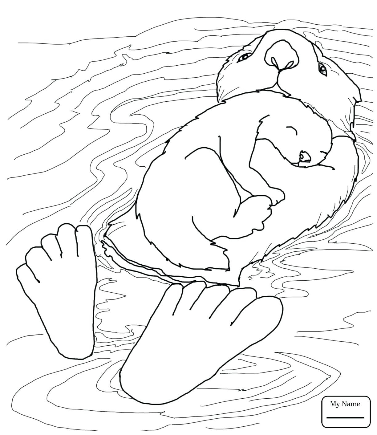1224x1412 Sea Otters Coloring Pages Gallery Coloring For Kids 2018