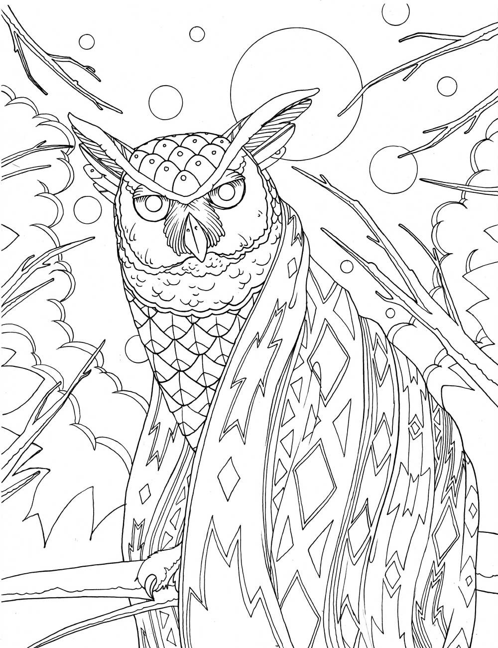 1000x1300 Intricate Owl Coloring Pages Best Of Outdoor Printable 35637