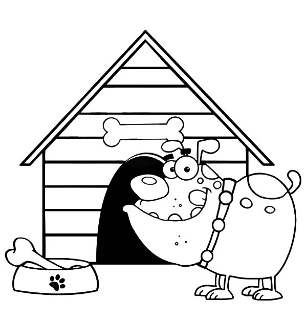 600x627 Dog Kennel