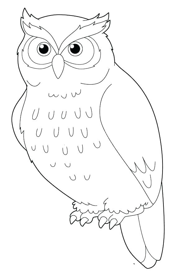 560x900 Owl Color Sheets Snowy Owl Coloring Pages Coloring Picture Of Owl