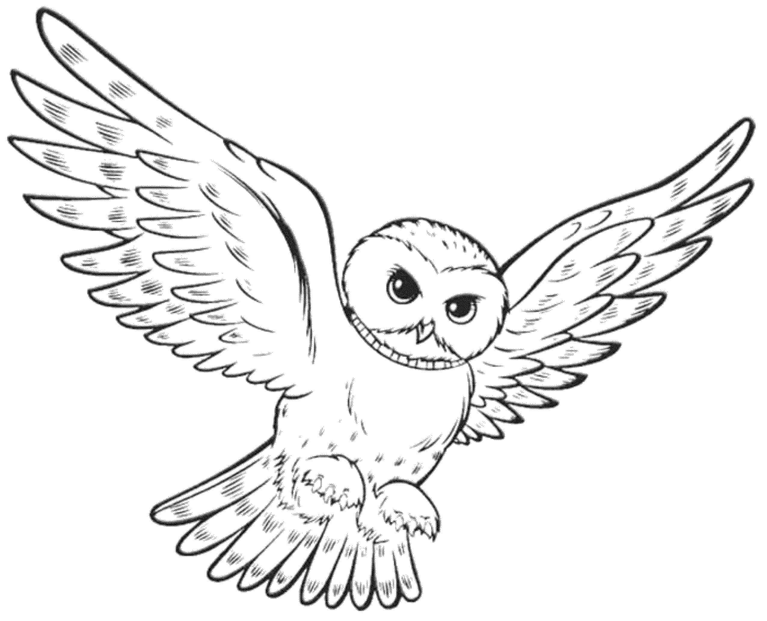 2551x2066 Owl Coloring Pages Easy Cute Printable For Kids