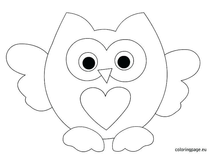 736x544 Owl Coloring Pages For Free Kids Coloring Elegant Printable Owl