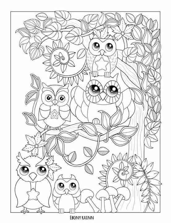 Owl Coloring Pages Colored
