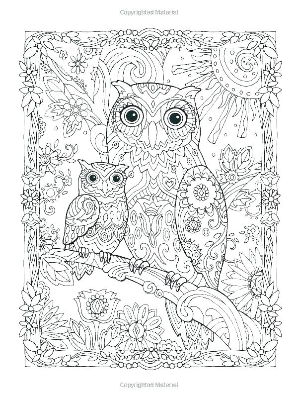 600x800 Images Of Owls Coloring Pages Picture To Color