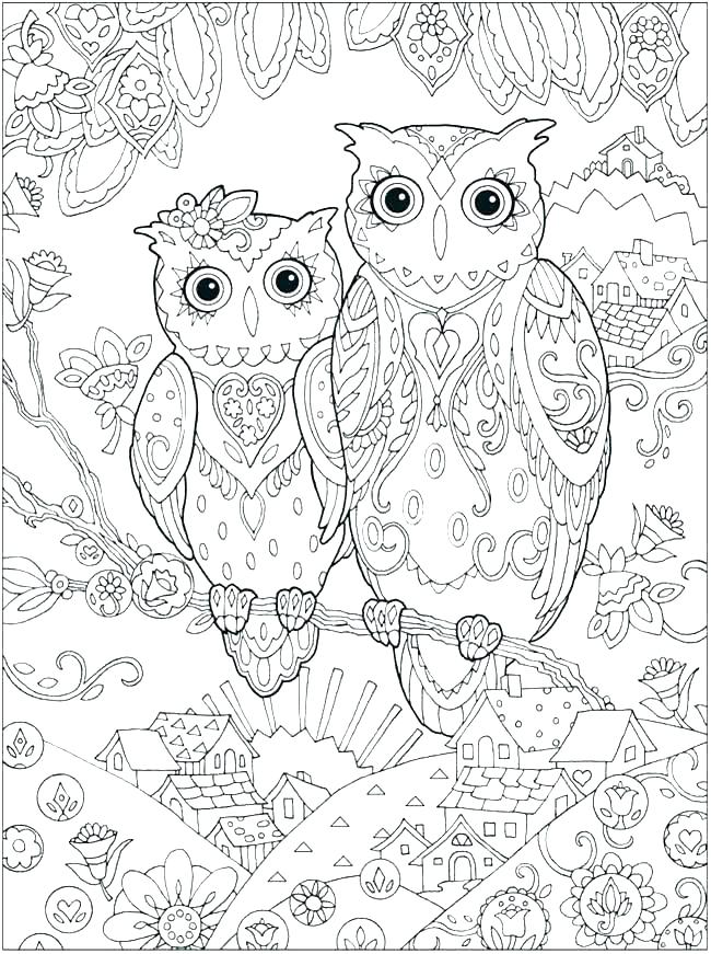 650x871 Owl Color Pages Barn Owl Coloring Page Owl Coloring Page Barn Owl