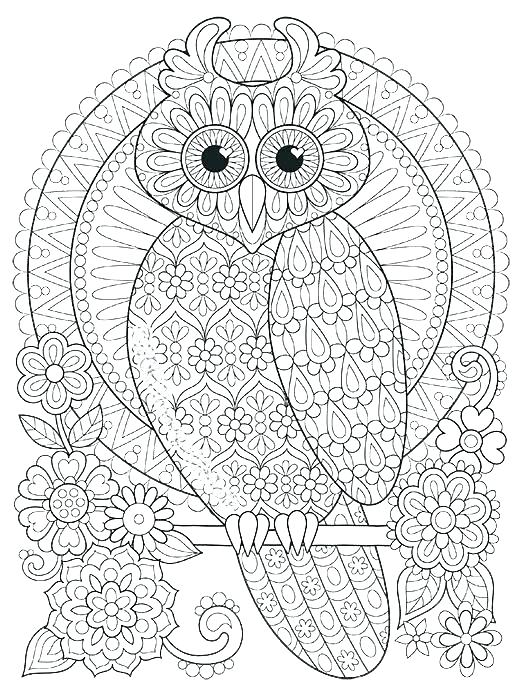 521x700 Owl Coloring Pages Free Printable Owl Color Pages Color Your Own