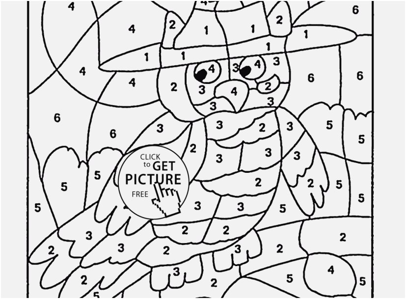 827x609 Coloring Puzzles For Adults Gallery Color By Number Owl Coloring