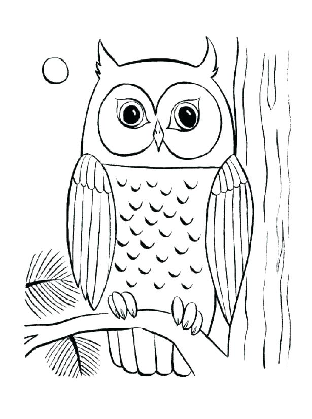 615x824 Cute Owl Color Sheets Baby Coloring Page Pages Of Medium Size