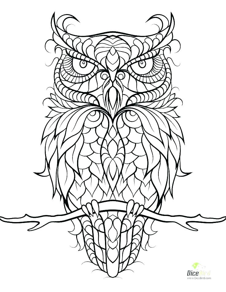 736x952 Cute Owl Coloring Pages Color Owl 5 Free Printable Cute Owl