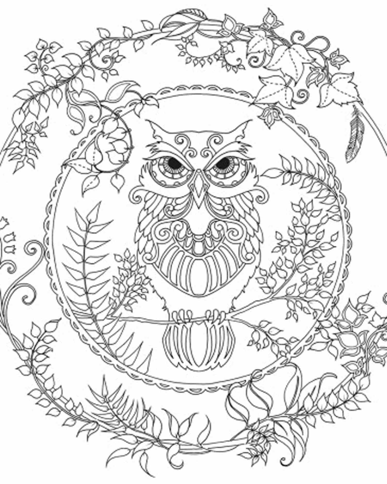 1500x1874 Enchanted Forest Owl Coloring Pages Colouring Adult Detailed