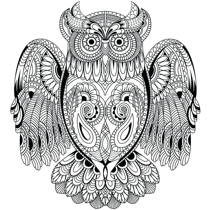 736x736 Owl Coloring Page Owl Coloring Pages As Well As Owl Coloring Pages