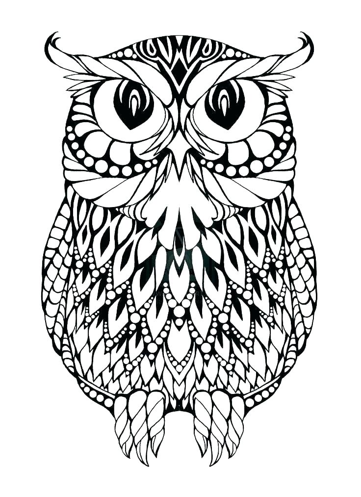 736x1013 Printable Owl Coloring Pages Adults Color Pages Free Printable