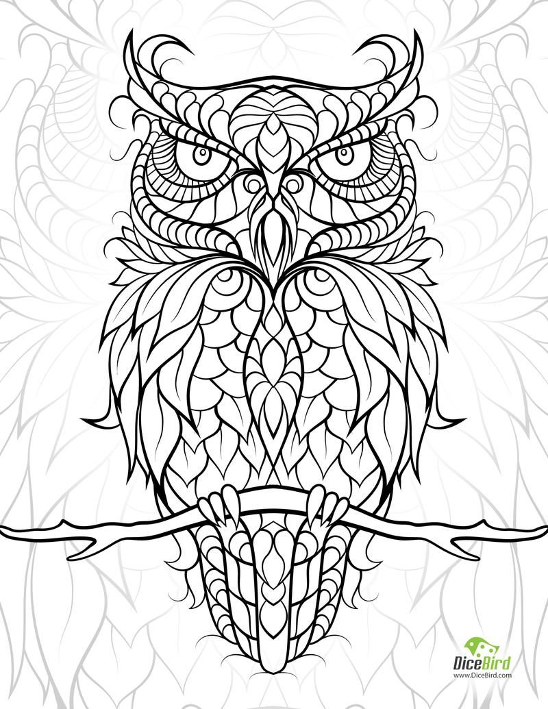 800x1035 Diceowl Free Printable Adult Coloring Pages Adult Coloring, Free