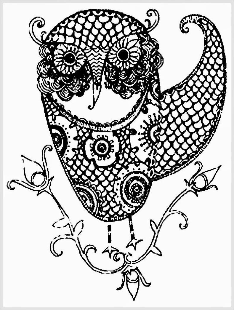 790x1046 Adult Owl Coloring Page