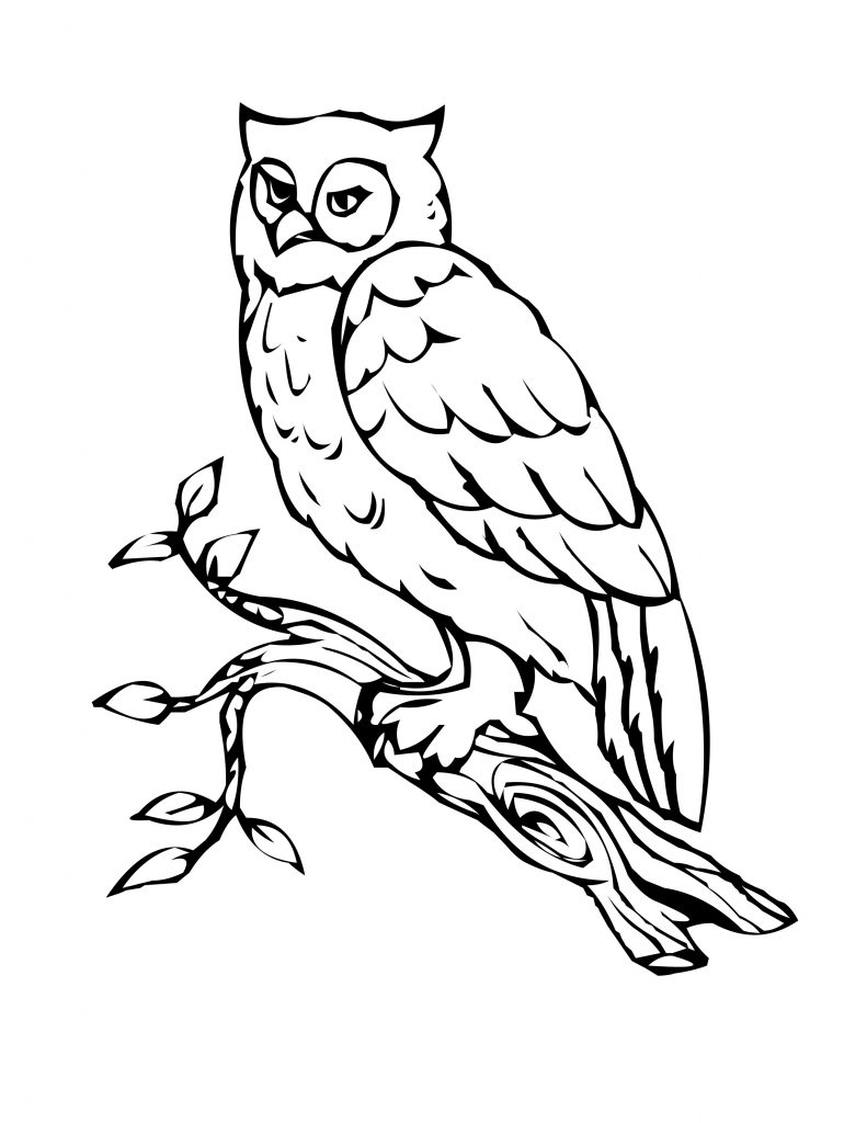 Owl Coloring Pages For Kids Printable