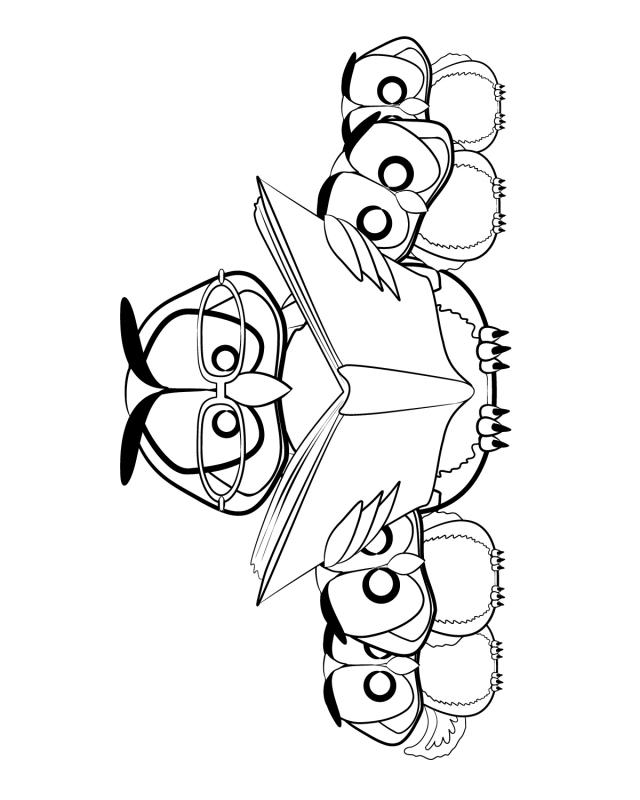640x800 Free Printable Owl Pictures