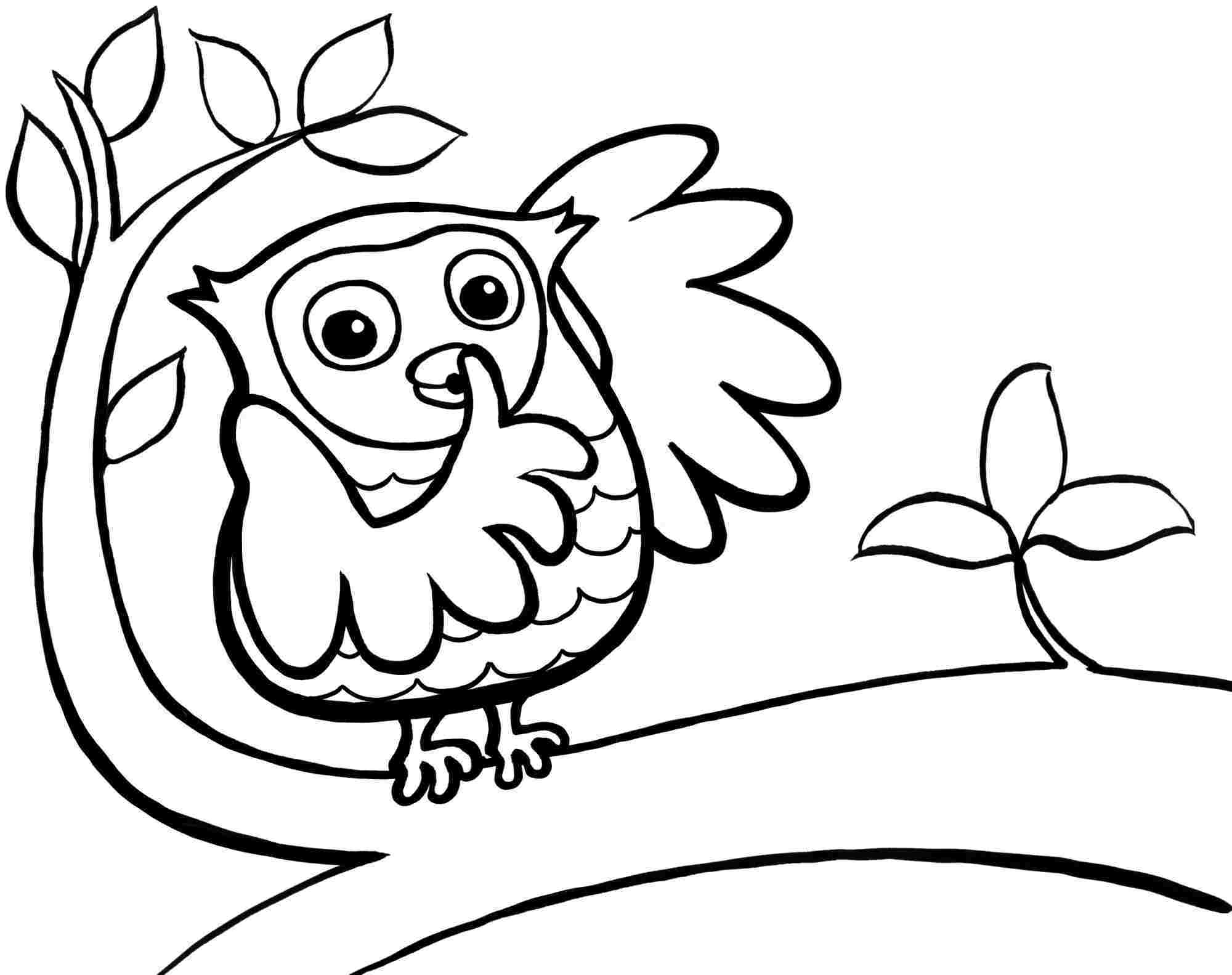 2000x1583 Unbelievable Printable Owl Template Cute Coloring Picture Of Pages