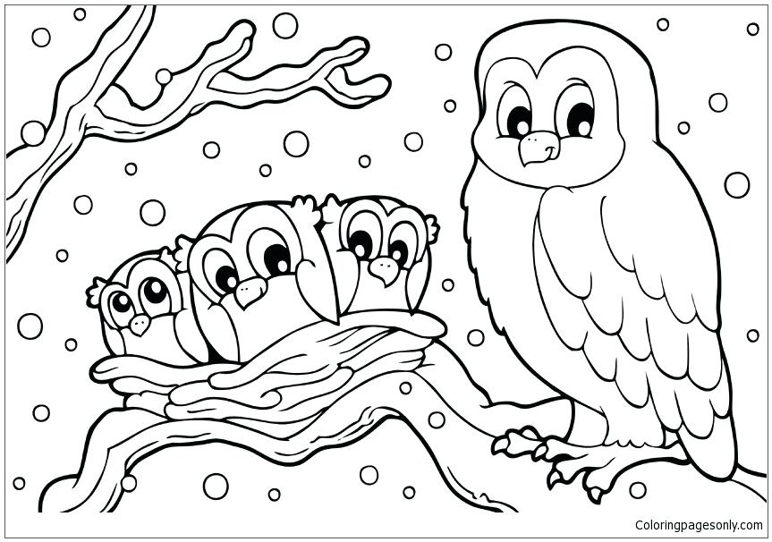863x606 Snowy Owl Pictures To Print