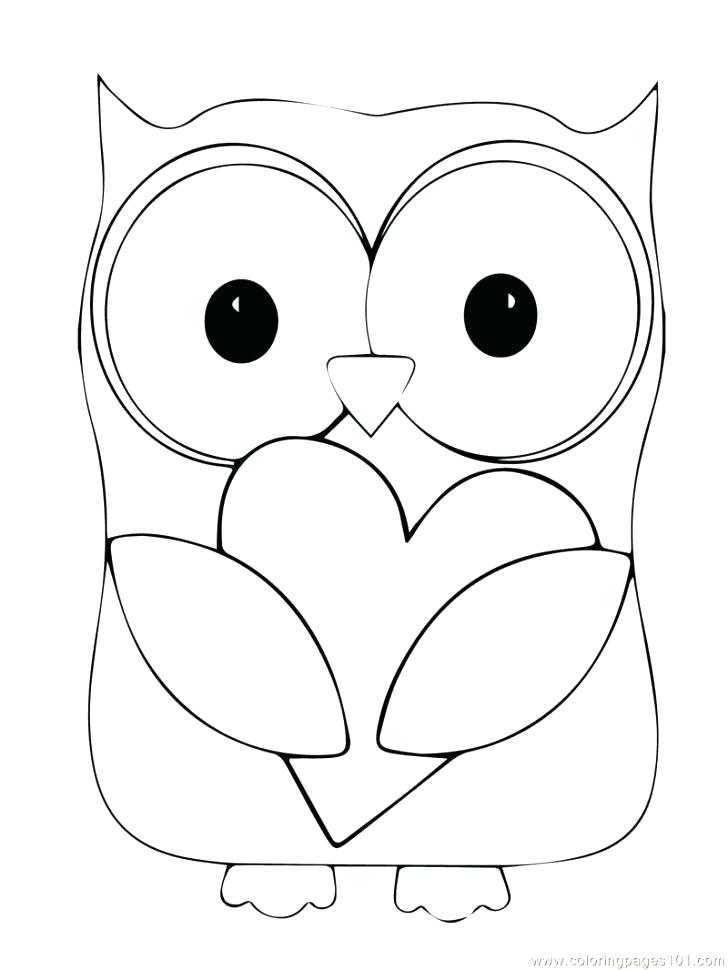 728x970 Owl Coloring Pages Preschool Cute Printable Pictures Of Baby Owls