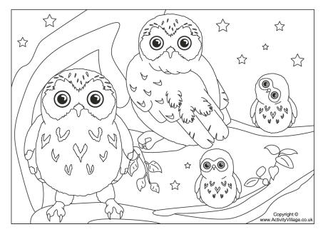 460x325 Owl Colouring Sheets Coloring Pages