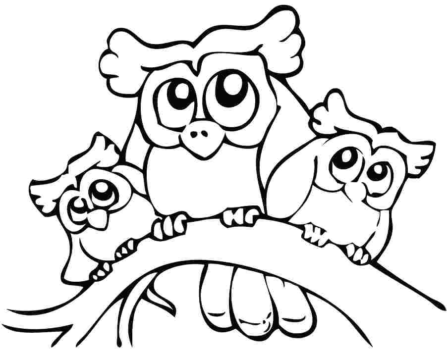 902x717 Coloring Cute Owl Coloring Page Pages Preschool Baby. Cute Owl