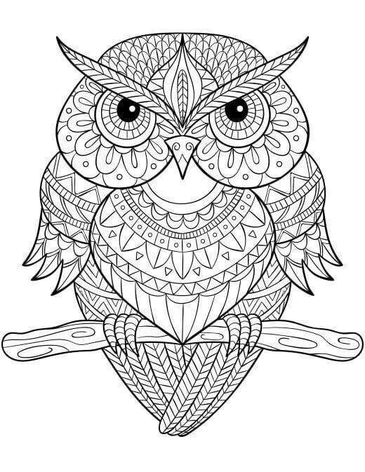 Owl Mandala Coloring Pages