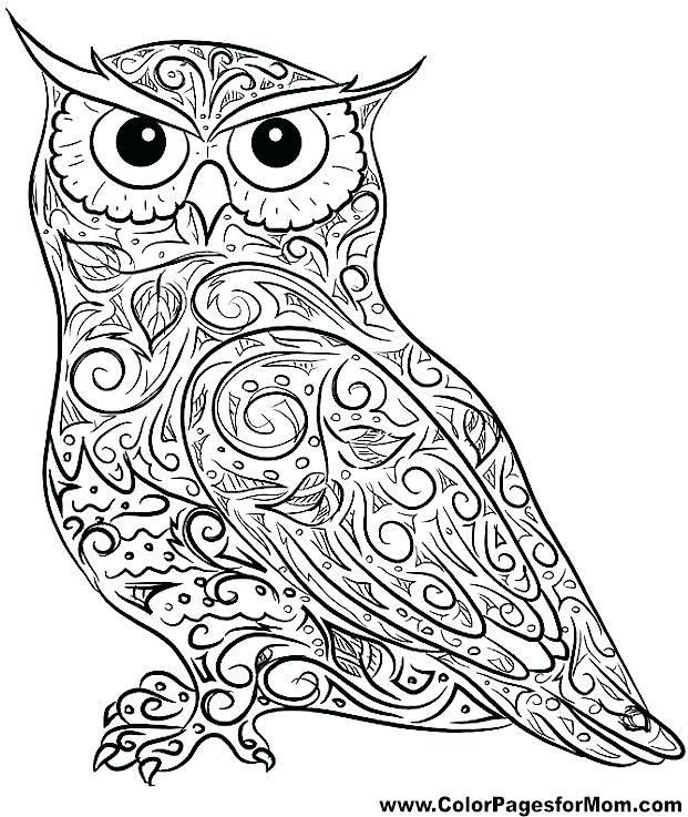 621x737 Owl Coloring Page Free Printable Owl Mandala Coloring Pages