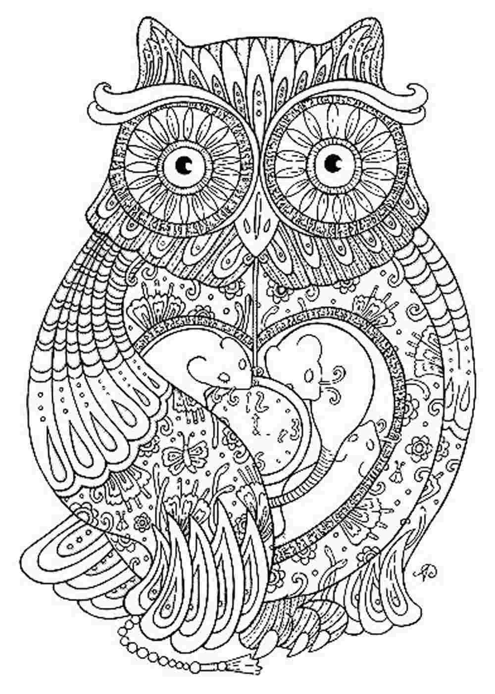 1000x1403 Perfect Owl Coloring Pages For Adults Sensatio