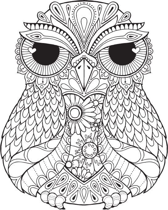 545x678 Detailed Owl Coloring Pages