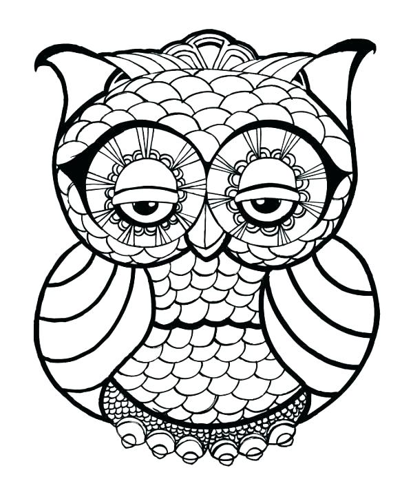 600x699 Owl For Coloring Coloring Pages Of Owls Printable Coloring Pages