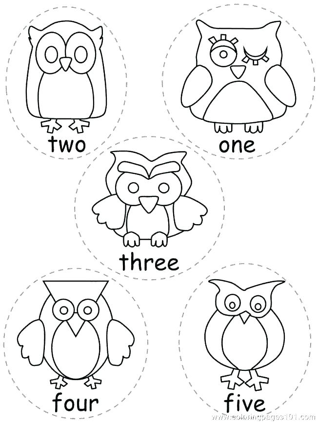 650x866 Print Out Coloring Pages Printable Owl Coloring Pages As Well As
