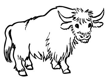 Ox Coloring Page