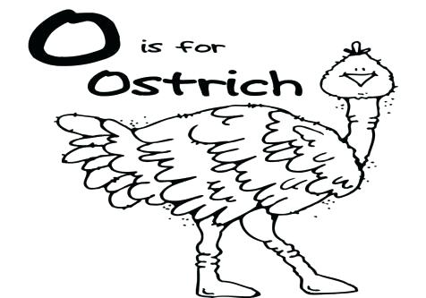 476x333 Ostrich Coloring Page Ostrich Coloring Page Ox Coloring Page