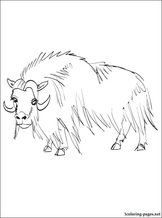 560x750 Ox Coloring Page Coloring Pages Wizard Of Oz Also Ox Coloring Page