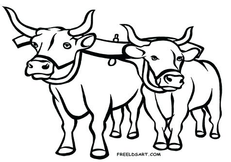 476x333 Ox Coloring Page Coloring Trend Medium Size Single Oxen Yoke Clip